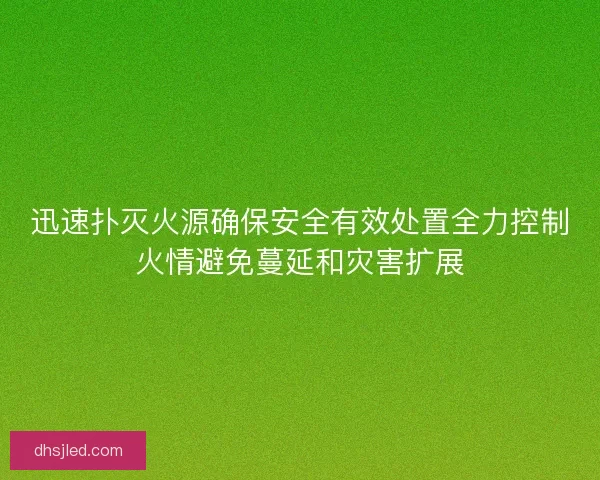 迅速扑灭火源确保安全有效处置全力控制火情避免蔓延和灾害扩展